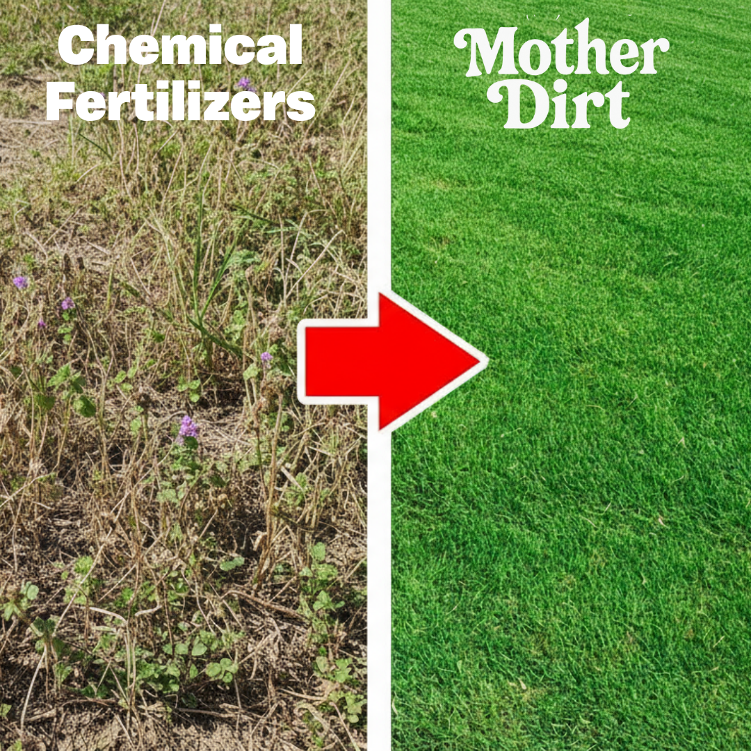 Soil Revival Formula