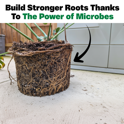 Soil Revival Formula
